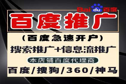 百度竞价代理的客户案例：如何实现ROI最大化